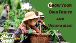Grow Your Own Fruits and Vegetables