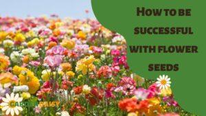 How to be successful with flower seeds