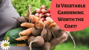 Is Vegetable Gardening Worth the Cost