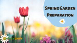 Spring Garden Preparation