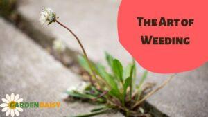 The Art of Weeding