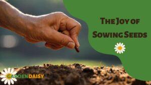 The Joy of Sowing Seeds