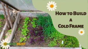 cold frame gardening