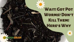 Don't kill pot worms