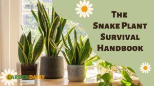 The Snake Plant Survival Handbook How to Keep Your Sansevieria Thriving