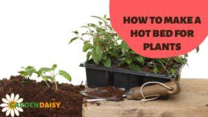 how to make a hot bed for plants
