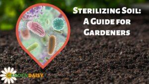 Sterilizing Soil A Guide for Gardeners