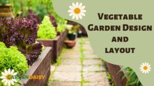 Vegetable Garden layout