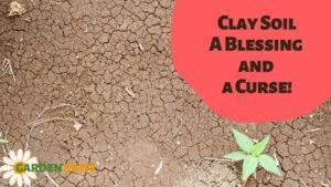 break down clay soil