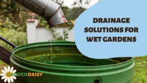 drainage solutions for wet gardens