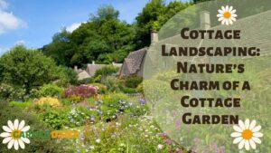 Thatched cottages with traditional cottage landscaping elements