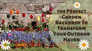 Spring bedding plants against a garden wall: How to choose a garden backdrop