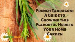 French Tarragon leaves on a board