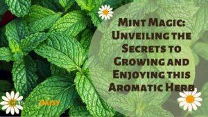 healthy green mint