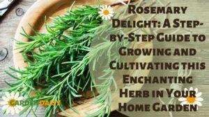 a sprig of Rosemary from the garden