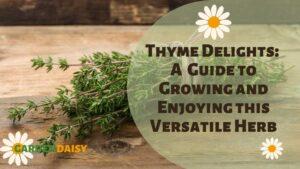 a bunch of cut Thyme on a wood background