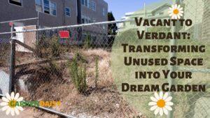 Dirt yard with chain link fence. How to plan a garden on a vacant lot