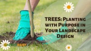Tree planting wearing gloves- Landscaping With Trees