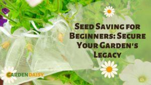 heirloom tomato flowers under protection