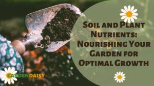 complex rich garden soil
