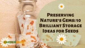 seeds in a jar