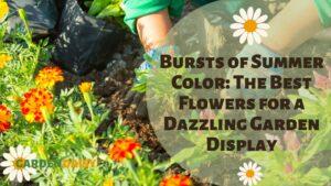 planting and digging in summer flowers