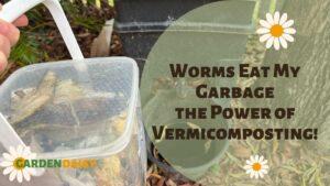 Vermicomposting worm bin with kitchen scraps