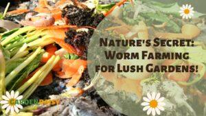 composting worms and veg scraps