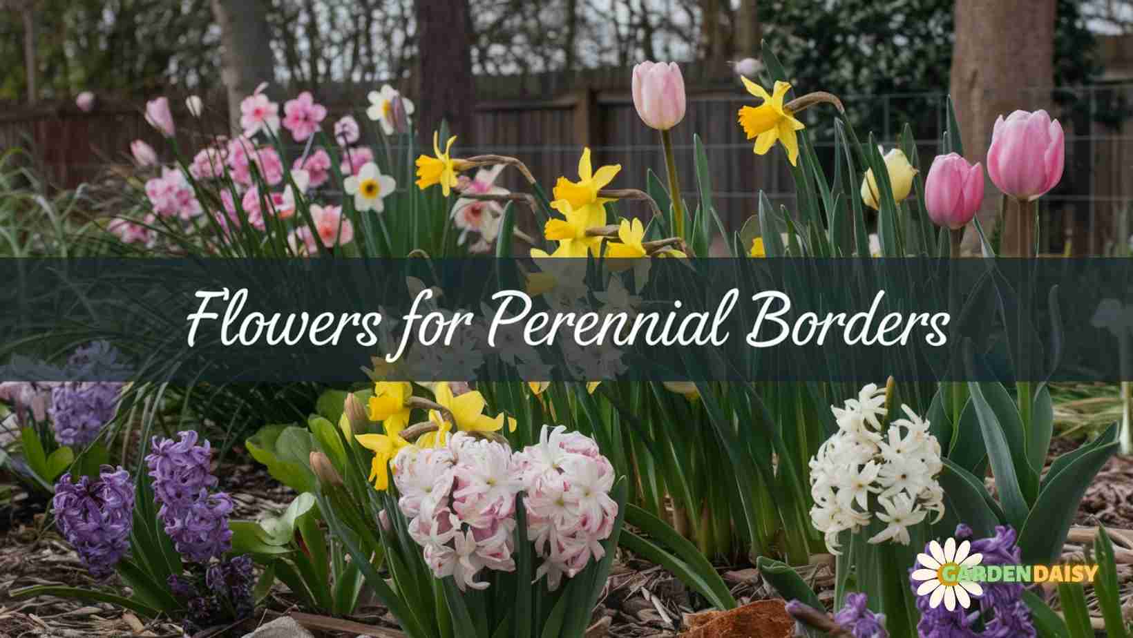 Flowers for Perennial Border